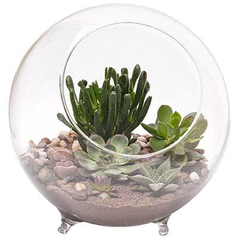 Panacea Large Glass Terrarium with Feet, 10.25" dia.