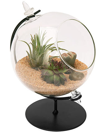 Panacea Desktop Glass Terrarium with Metal Stand, 4.5" dia.