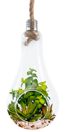 Panacea Giant Lightbulb Style Hanging Terrarium, 7" dia.