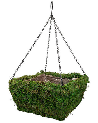 Panacea Natural Moss Square Hanging Basket, Green, 14"L