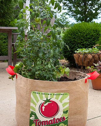 Panacea Tomatoes Grow Bags, 19" dia., Pack of 4