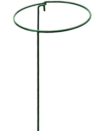 Panacea Circular Plant Supports, 6" x 36", Pack of 24