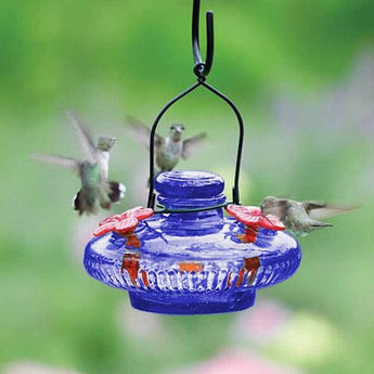 Parasol Bloom Hummingbird Feeder, Blue, 16 oz.