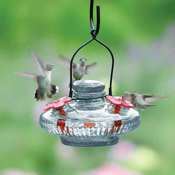 Parasol Bloom Hummingbird Feeder, Clear, 16 oz.