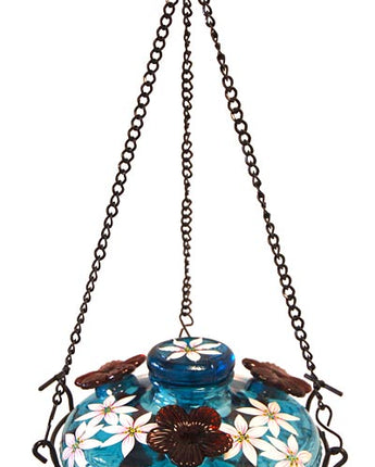 Parasol Bloom Botanica Feeder with Perch, Aqua, 16 oz.