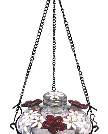 Parasol Bloom Botanica Feeder with Perch, Clear, 16 oz.