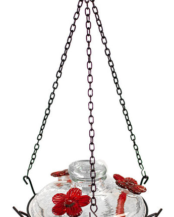 Parasol Bloom Hummingbird Feeder with Perch, Clear, 16 oz.