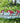 Parasol Basketweave-4 Hummingbird Feeder, Clear, 18 oz.