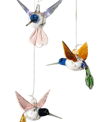 Parasol Large Hummingbird Ornament Assortment, Pack of 12