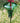 Mini-Blossom Hummingbird Feeder w/ Stake, Green, 4 oz.