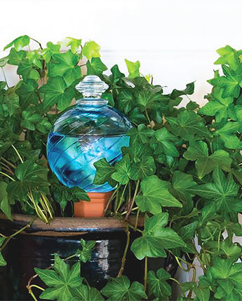 Plant Nanny Spiral Watering Globe w/ Stake, 12 oz., Aqua