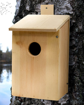 Screech Owl, Saw-Whet, and Kestrel House by Prime Retreat