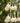 Two-Piece Martin Gourds and Pole, 4 Over 4, by Prime Retreat
