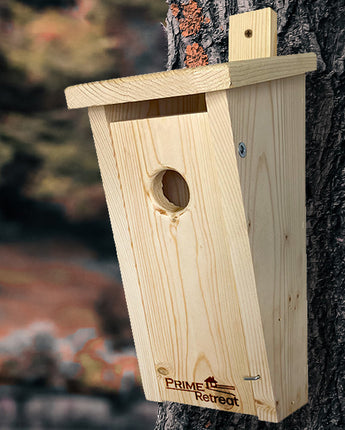 Slant-Front Bluebird House by Prime Retreat