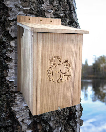 Squirrel House by Prime Retreat