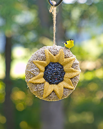 Pine Tree Farms Sunflower Seed Wreath, 3 lbs.