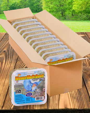 Pine Tree Never Melt Insect Suet Cake, 12 oz., Pack of 12