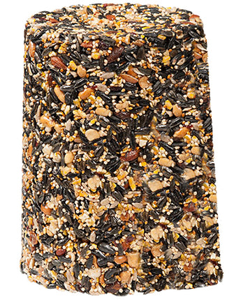 Pine Tree Fruit & Nut Classic Seed Log, 4.25 lbs., Pack of 6