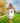 Royal Crowne Castle Birdhouse, Copper Roof, Bird