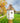 Royal Crowne Castle Birdhouse, Copper Roof, Star