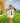 Royal Crowne Victorian Birdhouse, Copper Roof, Small