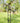 Staked Metal GIANT Flying Dragon Rocker, 70"H