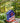 Patriotic Bird House