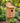 Mounted Blue Bird House, Cedar