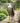 Regal Standing Eagle Decor, 18" H