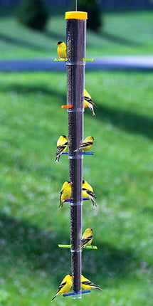 S&K Tornado Rainbow Collapsible Finch Feeder