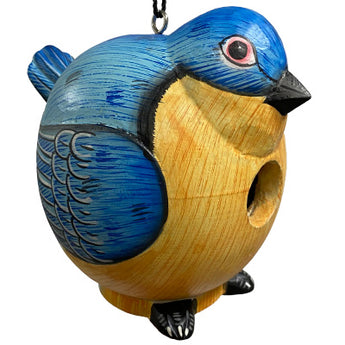 Songbird Essentials Gord-O Bird House, Bluebird