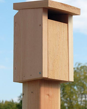 Songbird Essentials Sparrow-Resistant Bluebird House