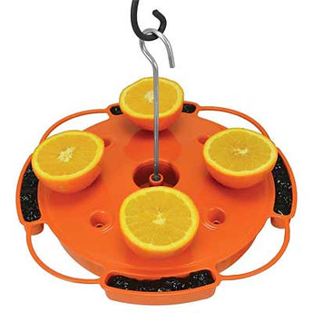 Songbird Essentials Ultimate Oriole Feeder, 32 oz.