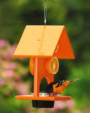 Songbird Essentials Recycled Plastic Fruit & Jelly Feeder