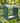Songbird Essentials Recycled Seed Cylinder Feeder, Green