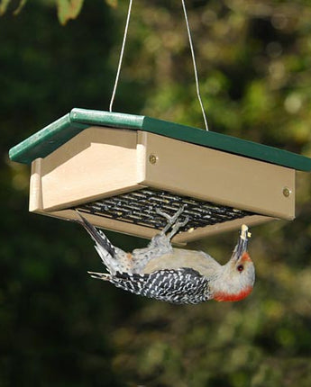 Songbird Essentials Upside-Down Suet Feeder, Green/Brown