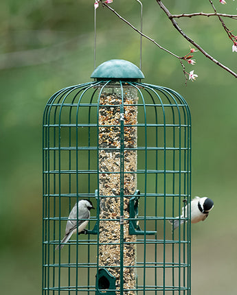 Stokes Squirrel Resistant Caged Bird Feeder