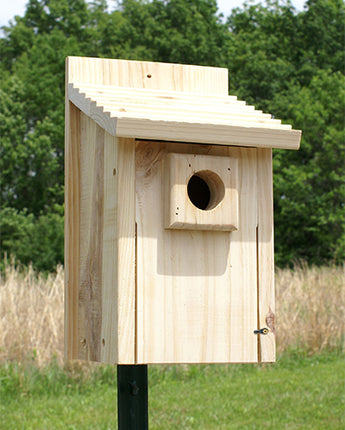 Stokes Bluebird House