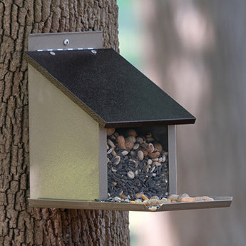 Stokes Squirrel Lunch Box