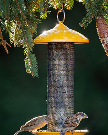 Stokes Finch Screen Mesh Bird Feeder, Yellow