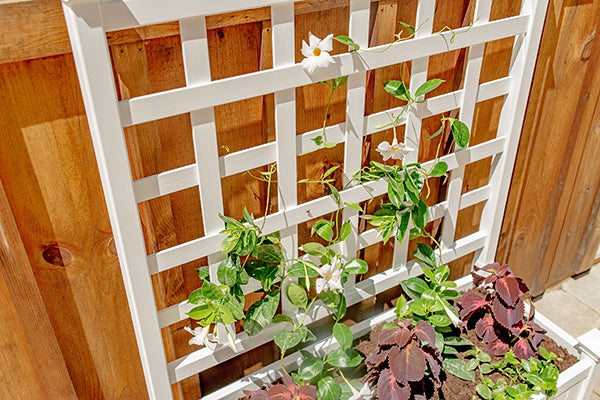 huron planter with trellis New England Huron Planter Box with Trellis, White, 48"H – Newtown Feed & Supply