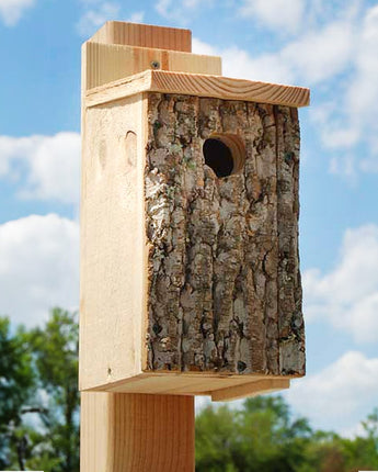 Uncle Dunkel's Bark Clad Bluebird House