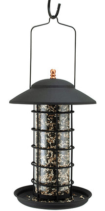 Woodlink Metal & Glass Lantern Bird Feeder, Matte Black