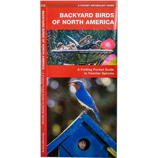 Wfp Booklets Waterford Press Backyard Birds of North America Booklet – Newtown Feed ...