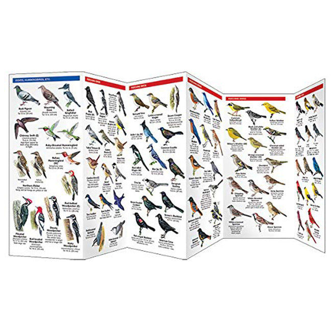 Wfp Booklets Waterford Press Bird Feeding Basics Booklet – Newtown Feed & Supply