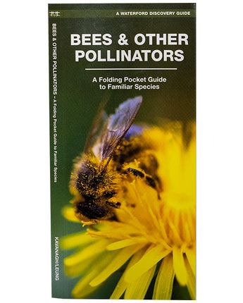 Waterford Press Bees & Other Pollinators Booklet