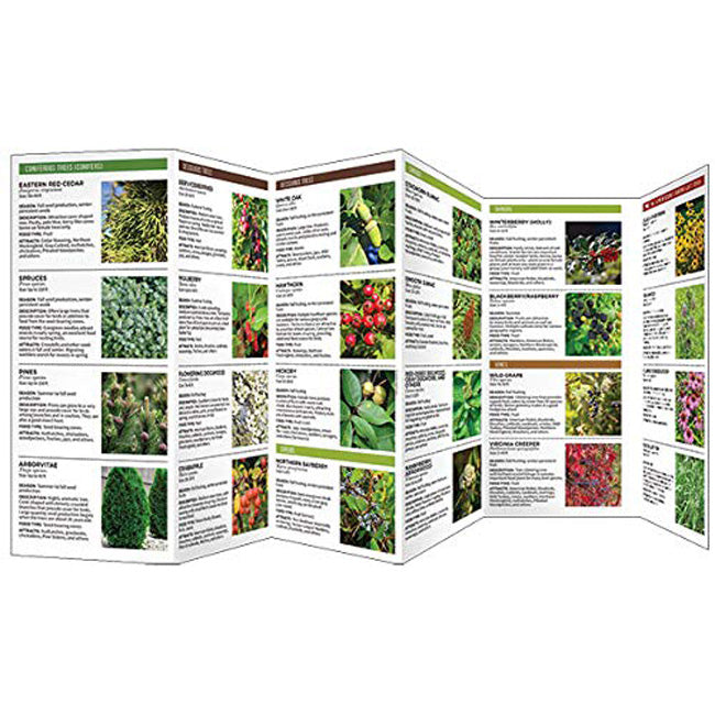 Wfp Booklets Waterford Press Gardening for Birds Booklet – Newtown Feed & Supply