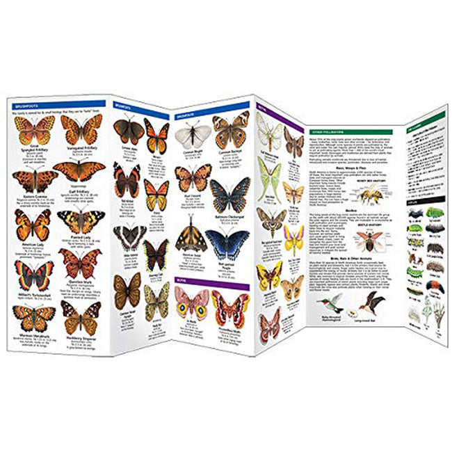 Wfp Booklets Waterford Press Butterflies & Pollinators Booklet – Newtown Feed & Supply