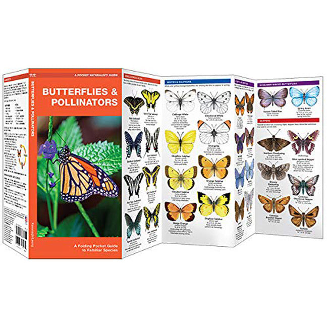 Wfp Booklets Waterford Press Butterflies & Pollinators Booklet – Newtown Feed & Supply