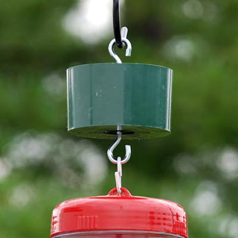 Wildlife Accessories Trap-It Ant Trap, Forest Green